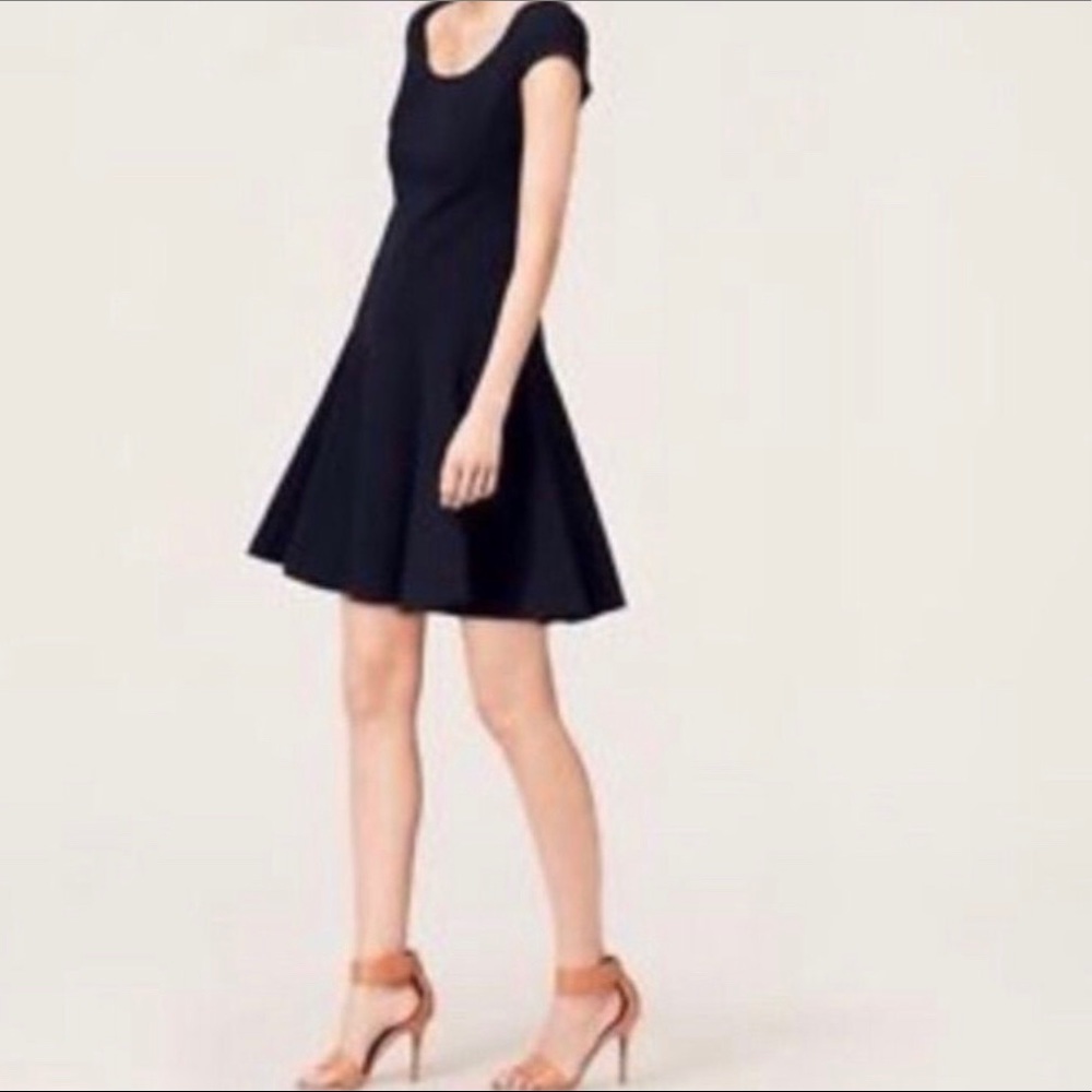 Ann Taylor Loft Fit n Flare Flounce Dress Navy